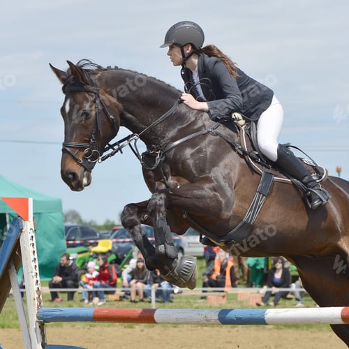 Preview: Show Jumping