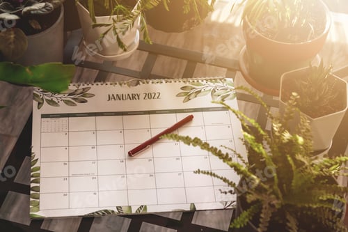 Preview: January 2022 Calendar