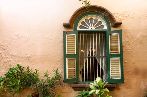 Preview: big green vintage window with flowers in the old house with copy space