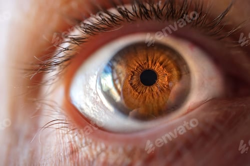 Preview: Closeup of a brown eye