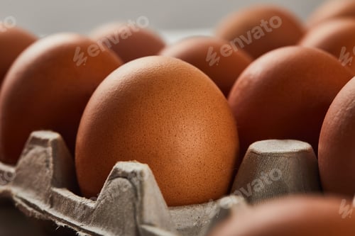 Preview: selective focus of chicken eggs in carton box