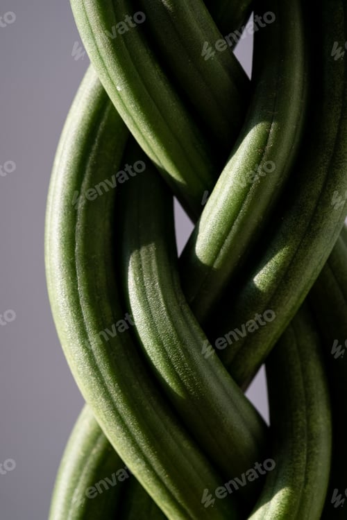 Preview: A green cozy plant, woven into a pigtail.