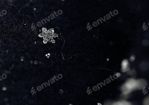 Preview: The Black Coat Is A Snowflake
