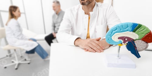 Preview: In consultation room, medical professional engages with senior patient, using brain model to