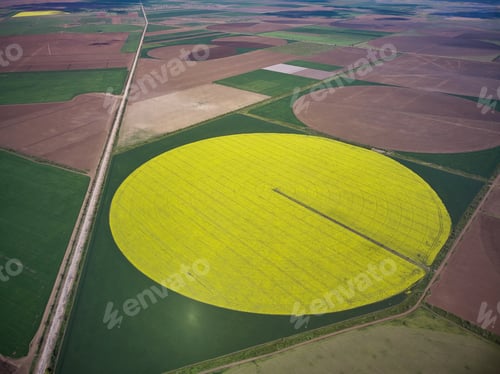 Preview: Center pivot irrigation system on a yellow rapeseed field aerial view