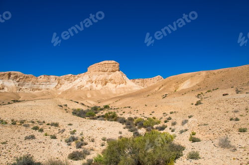 Preview: Desert of the Negev