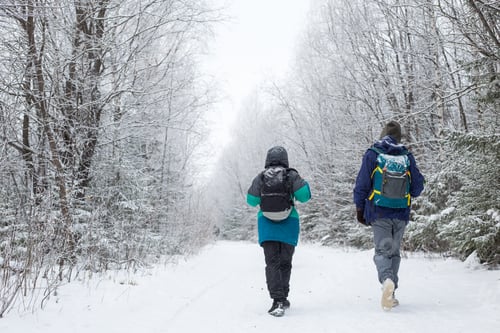 Preview: Hikers Walking in Snowy Forest in Winter