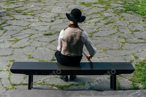 Preview: Fiddler plays Norwegian folk music while sitting and wearing a traditional folk costume