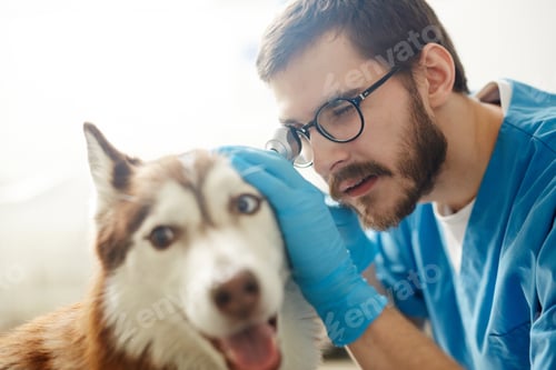 Preview: Medical examination