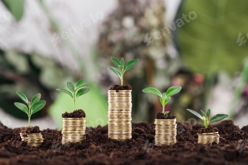 Preview: arranged golden coins with green leaves and soil, financial growth concept