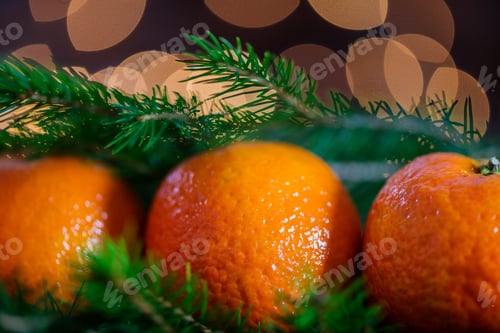 Preview: Fresh Clementines or Tangerines, Xmas Lights and Xmas Tree Branc