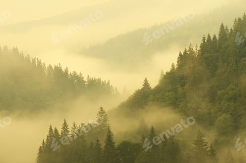Preview: Mountain aerial morning landscape.