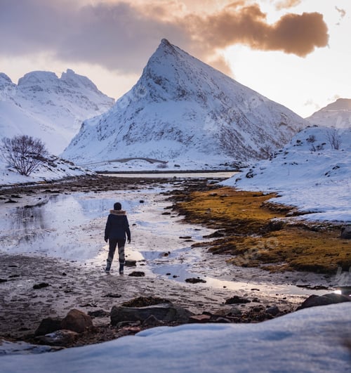 Preview: Lofotens in winter