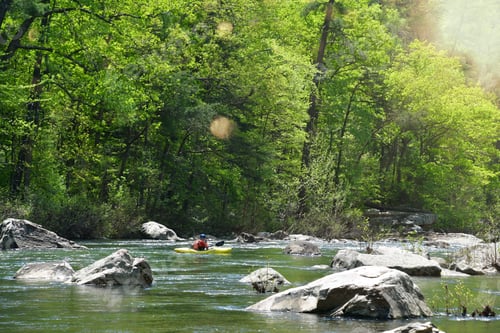 Preview: A lone kayaker paddling down a river in the Allegheny Mountains of Virginia enjoying a beautiful day