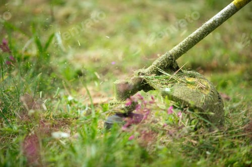 Preview: Trimer mows grass close-up. Fishing line in motion and grass particles in the air