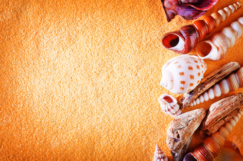 Preview: summer background