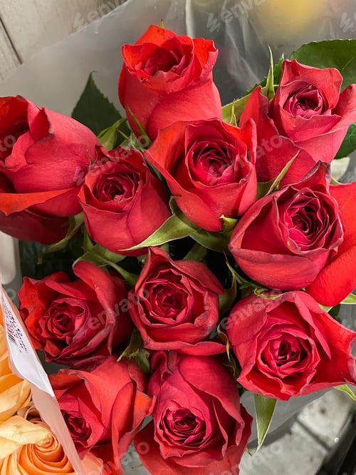Preview: Red roses