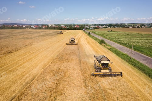 Preview: Aerial view of combine harvesters harvesting large yellow ripe wheat field