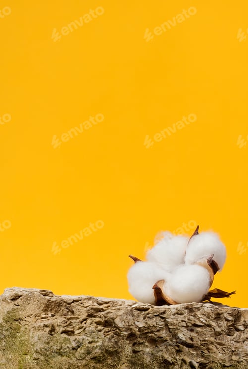 Preview: Stone and white cotton flower bud on yellow background
