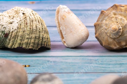 Preview: seashells on a blue wooden background.Marine theme