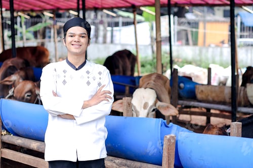 Preview: Confident Young Asian Muslim Man Posing in Front of Livestock Cows for Sacrifices During Eid Al Adha