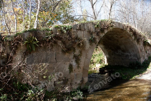 Preview: historic stone bridge in the forest