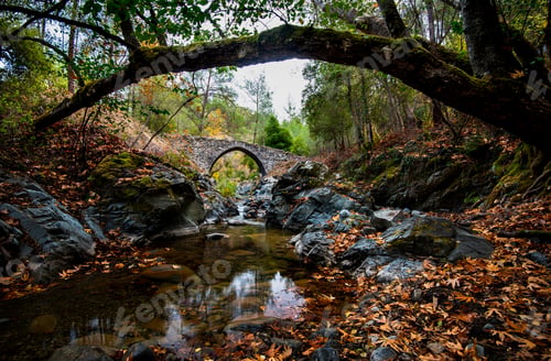 Preview: Medieval stoned bridge water flowing in the river in autumn