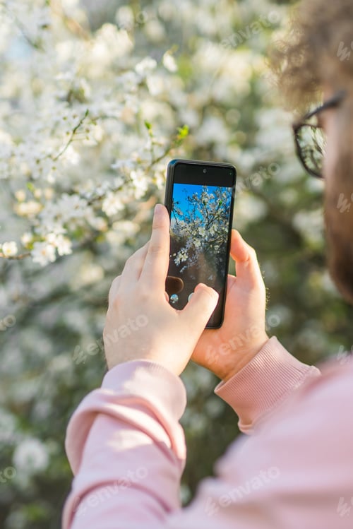 Preview: Man holding mobile phone and take photo blooming spring cherry and apples trees in sunlight