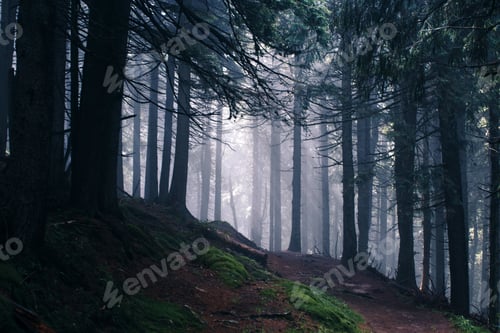 Preview: In the Carpathians mountains