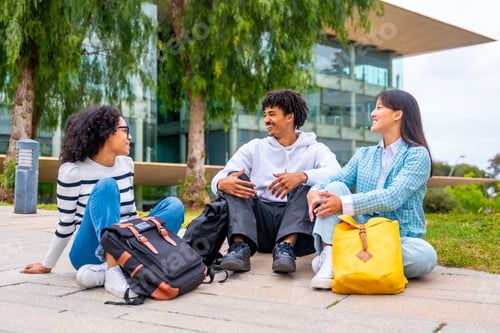 Preview: Multiracial students sitting and chatting relaxed in the university campus