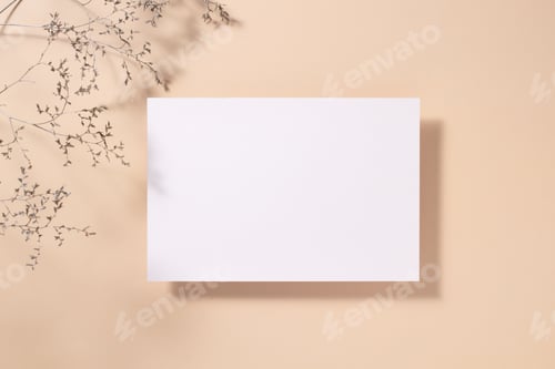 Preview: White paper empty blank, dried grass decoration on beige background. White square Invitation card