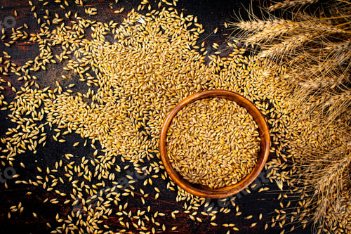 Preview: Ripe barley grains in bowl. Top view.
