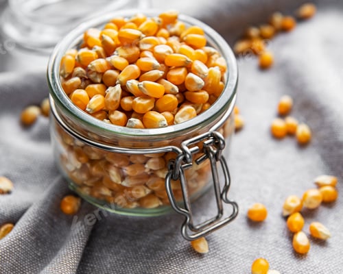 Preview: Dry Corn seeds