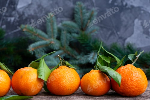 Preview: Christmas scene with tangerines