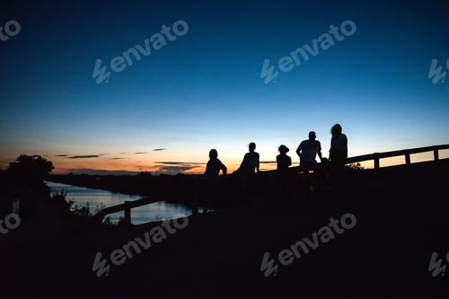 Preview: Silhouettes of five people on bridge at dusk