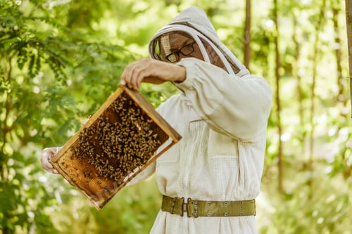 Preview: Beekeeping
