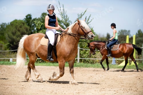 Preview: riding girl and horse