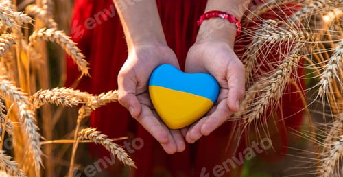 Preview: Child in a field of wheat with the flag of Ukraine. Selective focus.