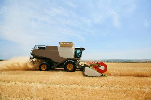 Preview: Agricultural harvester working in a wheat field