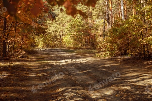 Preview: trees with yellow and green leaves in autumnal park at day