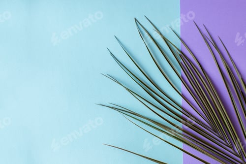 Preview: Tropical palm leaves on a purple and blue background. Minimal nature. Summer in style