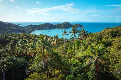 Preview: Coconut trees on the island and the sea on a summer morning from above.