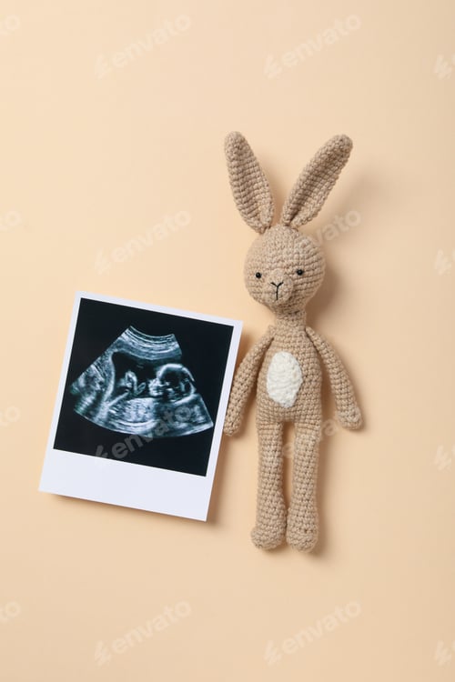 Preview: Concept of pregnancy and maternity, important period in life