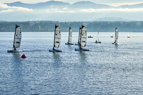 Preview: Several caterman saliling dingys training on the ocean on a bright fall day.