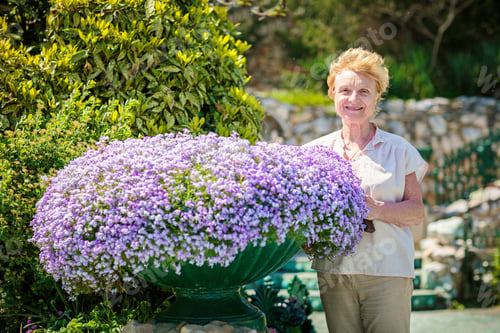 Preview: Elderly woman standing near a large flower pot with purple flowers