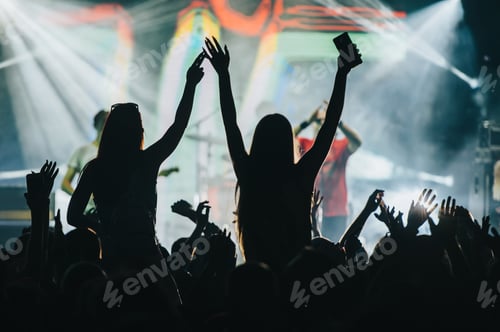 Preview: Two girls in a audience crowd having fun and enjoying concert on a festival