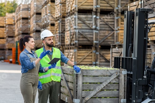 Preview: Management, sale and storage, control of organic fruit business and industry