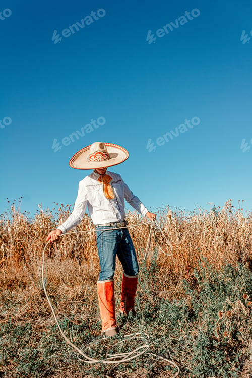 Preview: A cowboy in the expansive prairie, wielding his lariat amidst a bountiful harvest