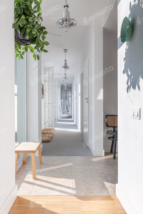 Preview: Long white corridor with modern lightning, wooden furniture, green plant and armchair