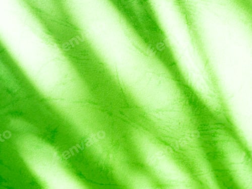 Visualização: Sombra de parede de fundo verde, luz, verão